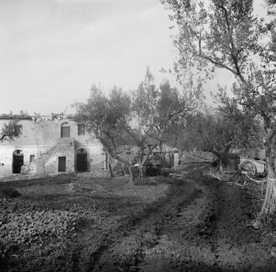 Ingresso al sentiero, attraverso un campo minato, che conduce a Licolle Ridge, c.1944 da English Photographer